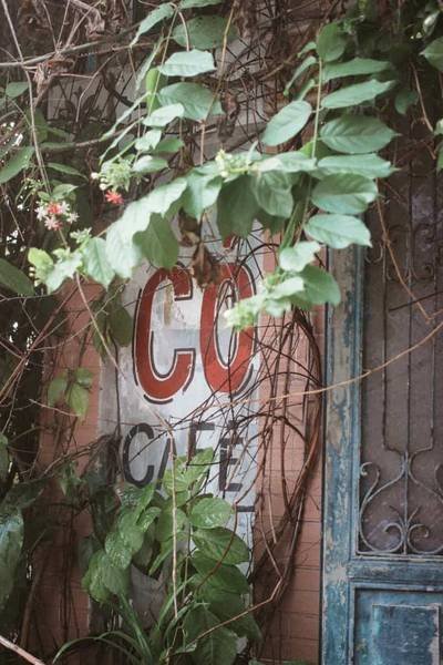 Biển hiệu qu&aacute;n c&agrave; ph&ecirc; cũ được bao phủ bởi l&aacute; c&acirc;y xanh v&agrave; d&acirc;y leo, b&ecirc;n cạnh l&agrave; một c&aacute;nh cửa sắt m&agrave;u xanh.