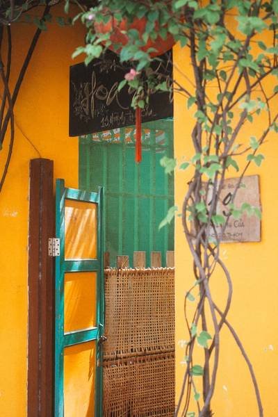 Cửa gỗ m&agrave;u xanh mở ra lối v&agrave;o, tường v&agrave;ng v&agrave; c&acirc;y leo xanh che phủ, tạo cảm gi&aacute;c cổ k&iacute;nh v&agrave; ấm &aacute;p.