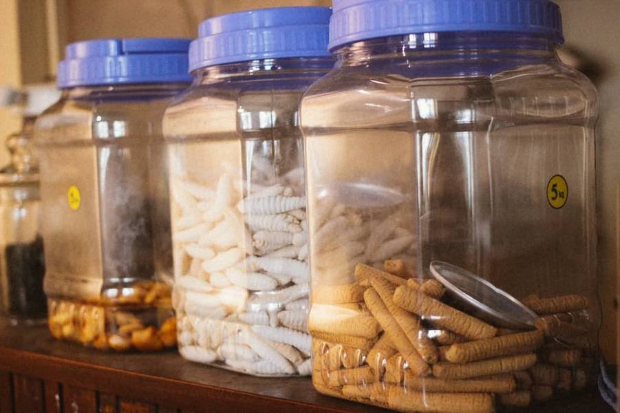 Ba hũ nhựa lớn chứa c&aacute;c loại c&ocirc;n tr&ugrave;ng kh&aacute;c nhau, nắp xanh, đặt tr&ecirc;n kệ gỗ.