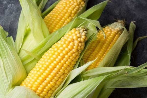 1 1 1 b5d330105ee84e16bdf86a8162d2a2d0 grande 1