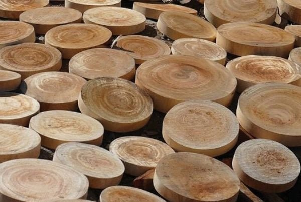 1 1 f0epplyoqrdu9 3d203zea a623495b6c5f42708dbd60f31768a6e5 grande