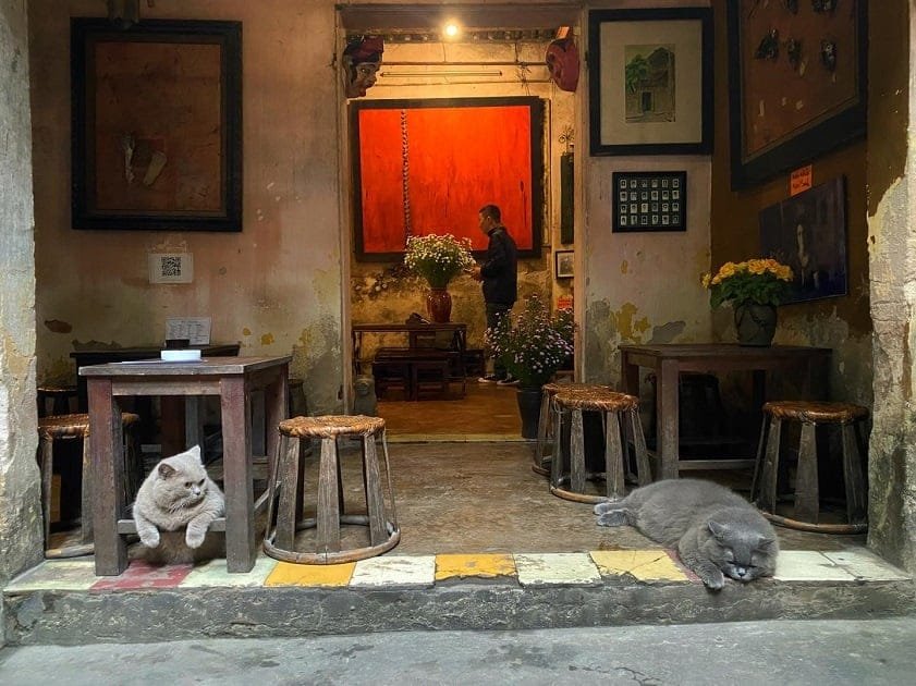 Quán cà phê cổ kính với tranh treo tường, hai con mèo thư giãn, một người đứng bên trong gần bình hoa.