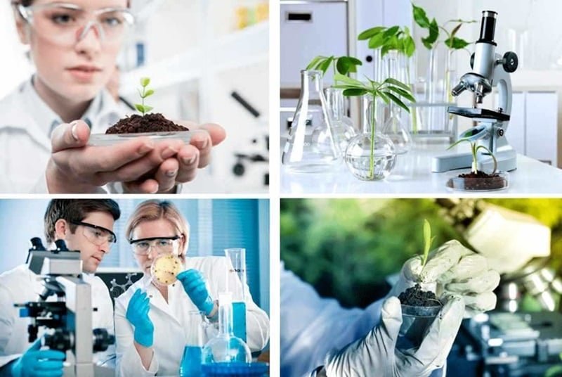 1 d01431121fa313fbb249999bcd721cf6 04f8812b8c3145f9841b43bf3533df2e