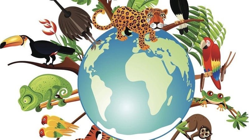 1 dadangsinhhoc1 e26e285e8dc344378188fcf72fb38f1c 1