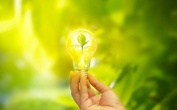 1 hinh 1 1 a0fca464d2484d5bacc232f14620f3c1 grande