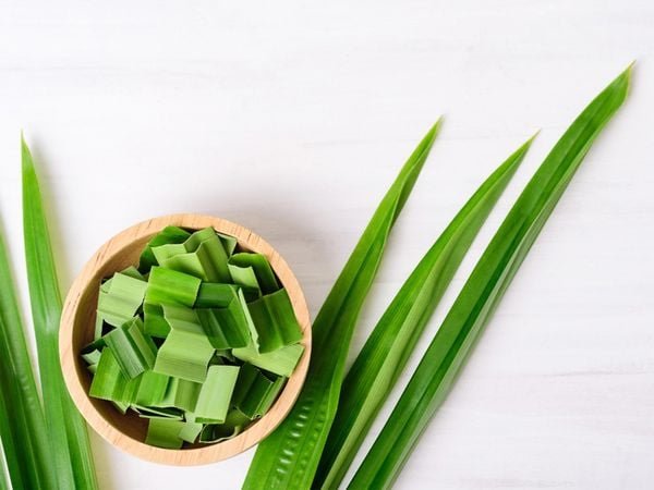 1 lay nuoc la dua 610f55f18db045b2859dd6c1aefd52b8 grande