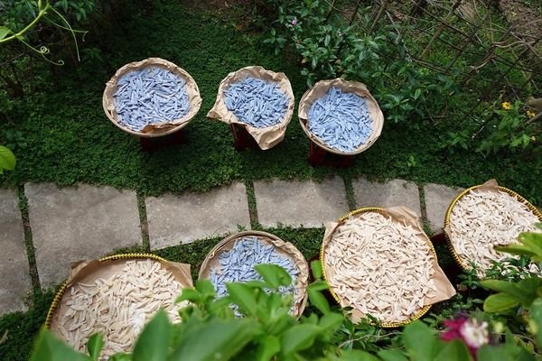 1 mut dua de duoc bao lau5 2638e5918b334d1cb8cfb77014a2d436 grande