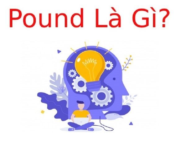 1 pound la gi 5cd4b680f717420bbfd6e50a458a49ab grande 1