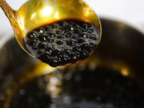 1 tau hu tran chau duong den 0 ce8b90047bee4c049fbd75b7ca54657a grande