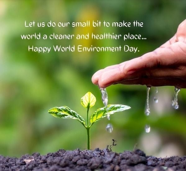 Bàn tay tưới nước cho cây non mọc trên đất, kèm thông điệp về Ngày Môi trường Thế giới.