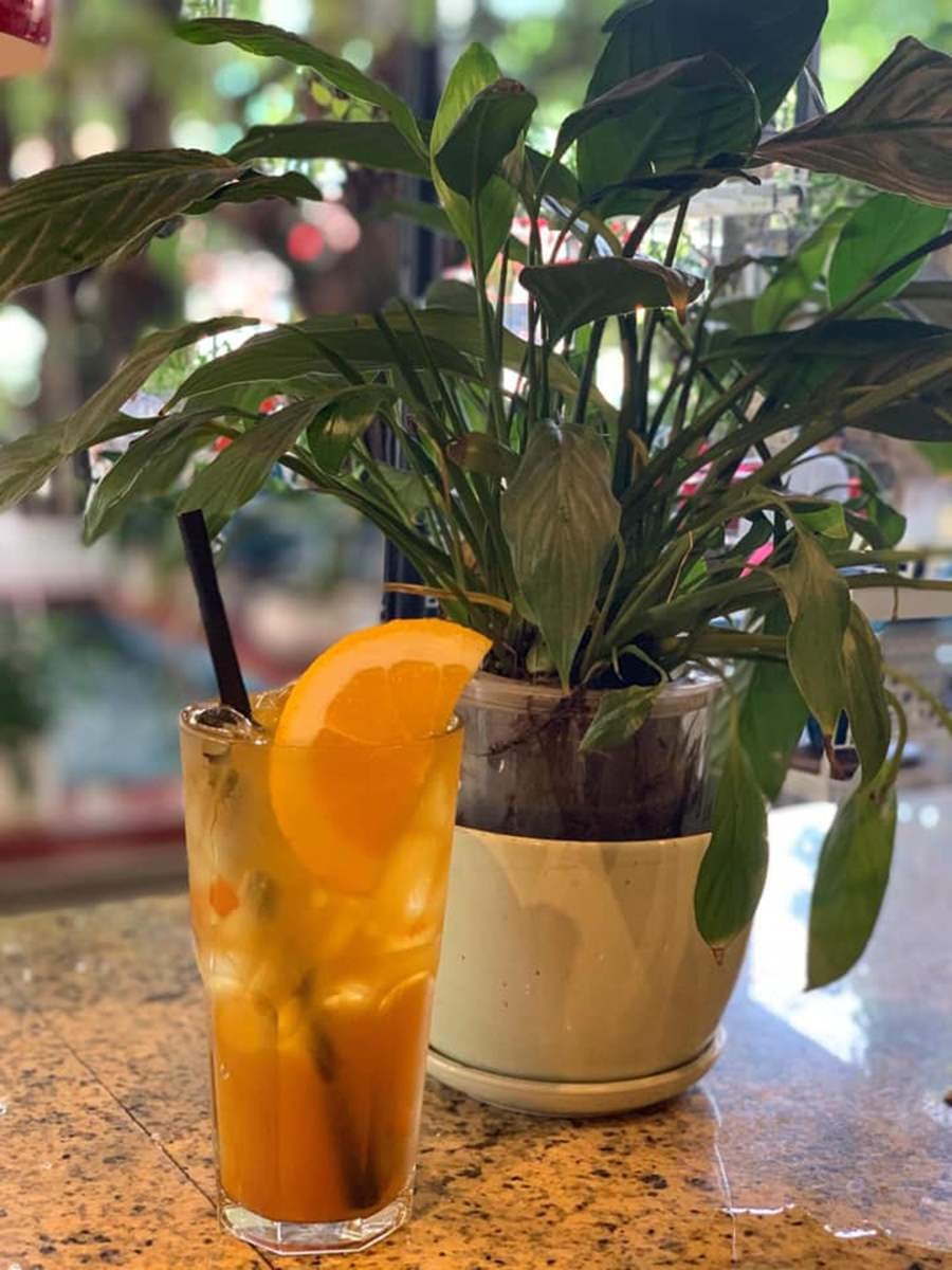 Ly nước cam tươi trang tr&iacute; l&aacute;t cam v&agrave; ống h&uacute;t, đặt cạnh chậu c&acirc;y xanh tr&ecirc;n b&agrave;n đ&aacute;.
