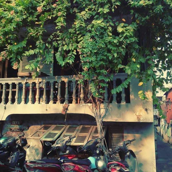 Ng&ocirc;i nh&agrave; cổ với c&acirc;y leo xanh phủ k&iacute;n mặt tiền, b&ecirc;n dưới l&agrave; h&agrave;ng xe m&aacute;y đậu s&aacute;t nhau.