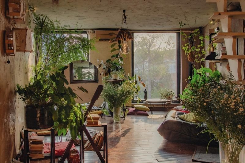 Ph&ograve;ng kh&aacute;ch với nhiều c&acirc;y xanh, &aacute;nh s&aacute;ng tự nhi&ecirc;n từ cửa sổ lớn, kh&ocirc;ng gian ấm c&uacute;ng v&agrave; trang tr&iacute; đơn giản.