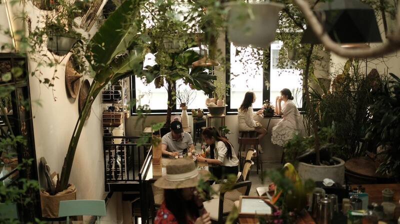 Qu&aacute;n c&agrave; ph&ecirc; với nhiều c&acirc;y xanh, kh&aacute;ch ngồi tr&ograve; chuyện v&agrave; l&agrave;m việc, &aacute;nh s&aacute;ng tự nhi&ecirc;n chiếu qua cửa sổ lớn.