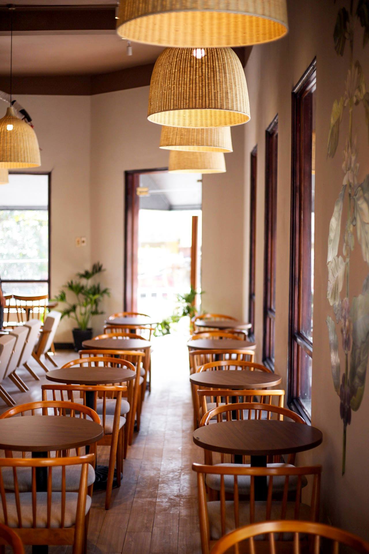 Nội thất qu&aacute;n c&agrave; ph&ecirc; với b&agrave;n ghế gỗ, đ&egrave;n treo v&agrave; c&acirc;y xanh trang tr&iacute;, &aacute;nh s&aacute;ng tự nhi&ecirc;n chiếu qua cửa sổ.