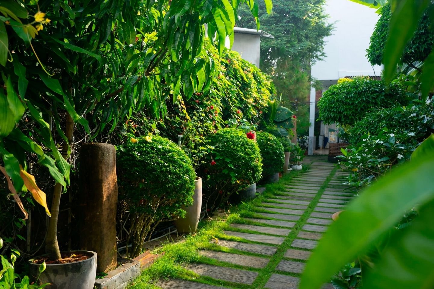 Lối đi l&aacute;t đ&aacute; xen kẽ cỏ xanh, hai b&ecirc;n l&agrave; c&acirc;y xanh v&agrave; bụi hoa tươi tốt, tạo kh&ocirc;ng gian xanh m&aacute;t dễ chịu.
