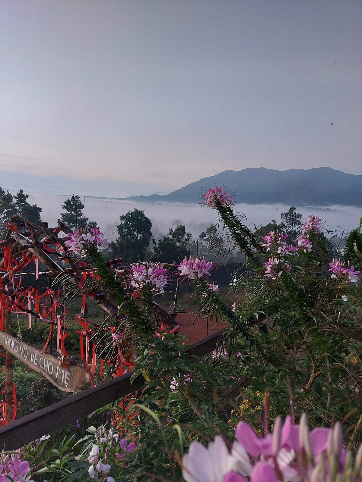 Cảnh đồi n&uacute;i với hoa t&iacute;m nở rộ, sương m&ugrave; phủ k&iacute;n c&acirc;y cối v&agrave; nền trời xanh nhạt.