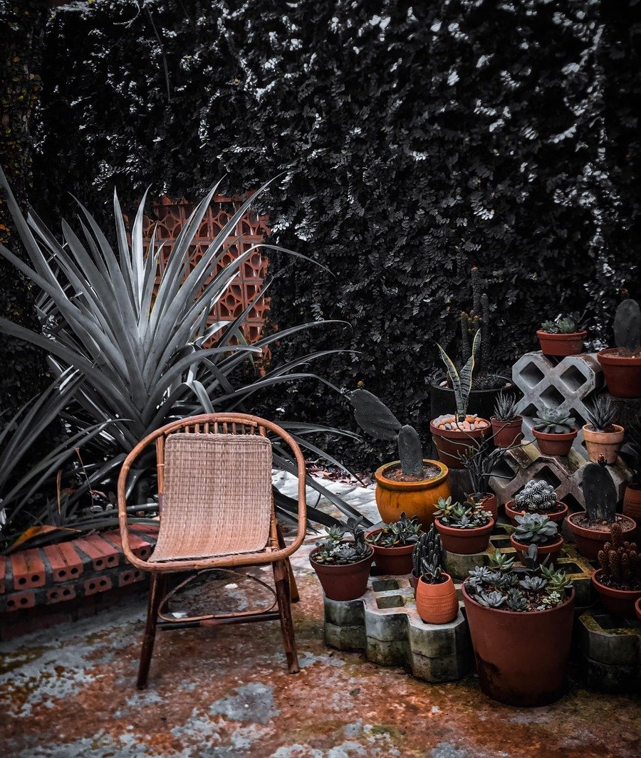 Kh&aacute;m ph&aacute; Tiệm c&agrave; ph&ecirc; An Nhi&ecirc;n để t&igrave;m b&igrave;nh y&ecirc;n giữa nhịp sống n&aacute;o nhiệt 5