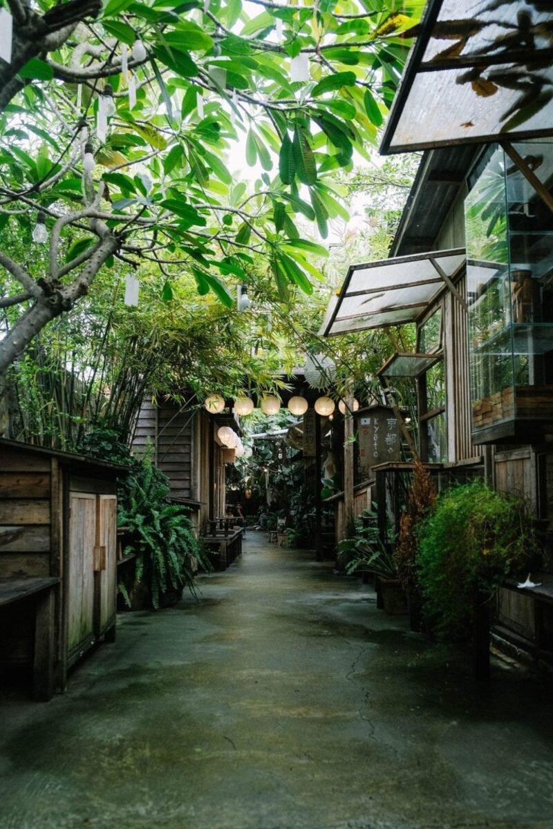 Lối đi nhỏ với c&acirc;y xanh v&agrave; đ&egrave;n lồng treo tr&ecirc;n cao, b&ecirc;n cạnh l&agrave; c&aacute;c t&ograve;a nh&agrave; gỗ c&oacute; cửa sổ mở.