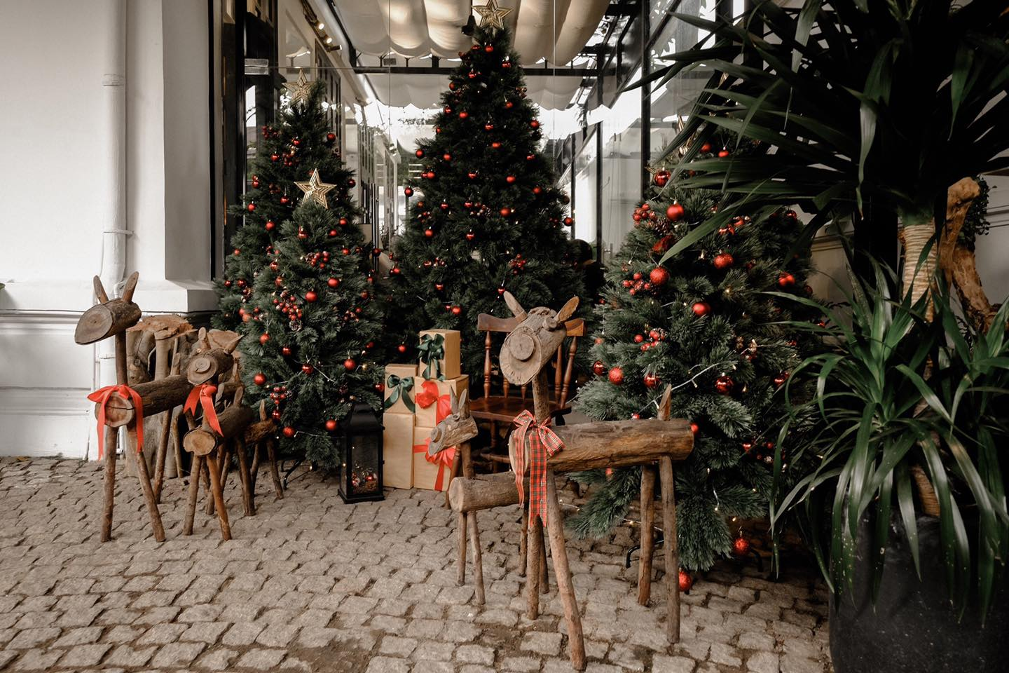 Cây thông Noel trang trí với bóng đỏ, sao vàng, tuần lộc gỗ và hộp quà, tạo không gian lễ hội ấm áp.