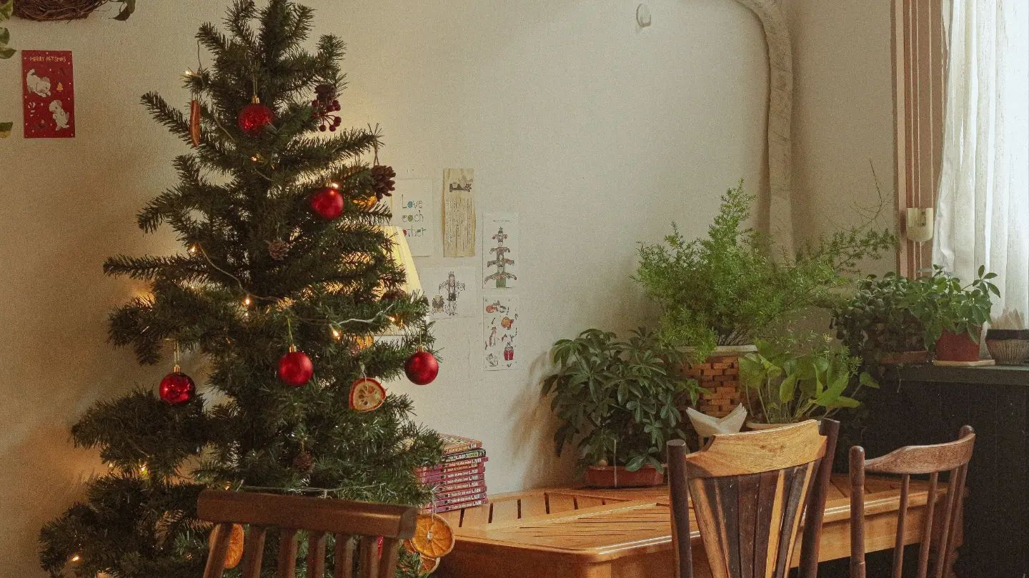 Cây thông Noel trang trí bóng đỏ cạnh bàn gỗ, xung quanh có nhiều chậu cây xanh, ánh sáng từ cửa sổ chiếu vào.
