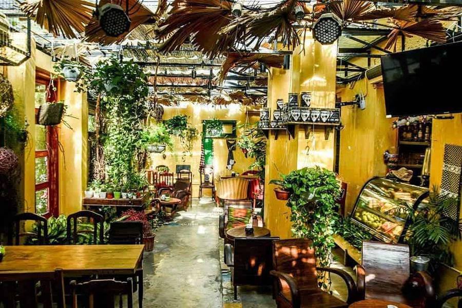 Qu&aacute;n c&agrave; ph&ecirc; trang tr&iacute; với c&acirc;y xanh, &aacute;nh s&aacute;ng tự nhi&ecirc;n, b&agrave;n ghế gỗ v&agrave; trần nh&agrave; c&oacute; l&aacute; cọ.