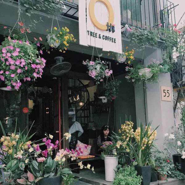 Qu&aacute;n c&agrave; ph&ecirc; trang tr&iacute; nhiều hoa treo v&agrave; chậu c&acirc;y, c&oacute; người ngồi b&ecirc;n trong, biển hiệu ghi "Tree & Coffee".