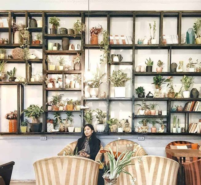Người ngồi trong qu&aacute;n c&agrave; ph&ecirc; với kệ tường chứa nhiều chậu c&acirc;y xanh v&agrave; s&aacute;ch trang tr&iacute;.