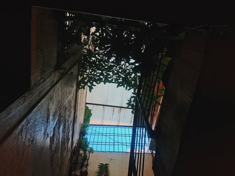 Khung cảnh nh&igrave;n l&ecirc;n từ giếng trời với c&acirc;y xanh phủ b&oacute;ng v&agrave; &aacute;nh s&aacute;ng tự nhi&ecirc;n chiếu qua.