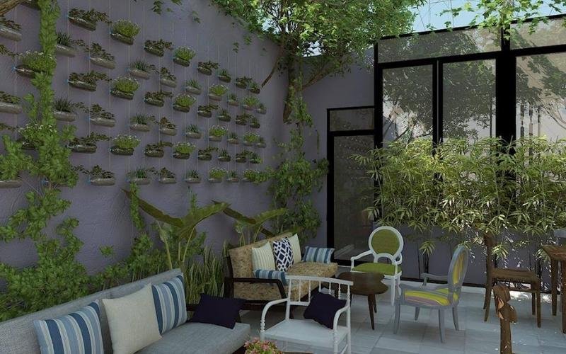 Góc sân nhỏ với ghế sofa, bàn ghế và tường xanh trồng nhiều cây, tạo không gian thư giãn thoáng đãng.