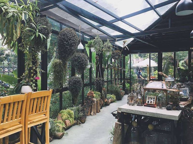 Nh&agrave; k&iacute;nh trồng c&acirc;y với nhiều loại c&acirc;y cảnh treo v&agrave; b&agrave;n trưng b&agrave;y đồ trang tr&iacute;, &aacute;nh s&aacute;ng tự nhi&ecirc;n từ m&aacute;i k&iacute;nh.