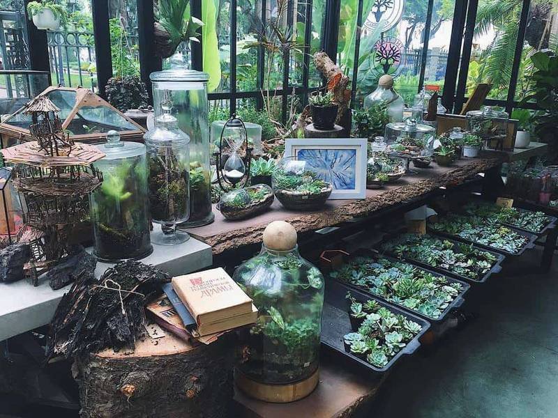 G&oacute;c vườn trong nh&agrave; với nhiều c&acirc;y cảnh trong chậu v&agrave; lọ thủy tinh, b&ecirc;n cạnh l&agrave; s&aacute;ch v&agrave; đồ trang tr&iacute;.