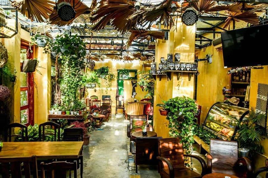 Qu&aacute;n c&agrave; ph&ecirc; với kh&ocirc;ng gian xanh, nội thất gỗ, nhiều c&acirc;y treo v&agrave; &aacute;nh s&aacute;ng tự nhi&ecirc;n chiếu v&agrave;o qua m&aacute;i k&iacute;nh.