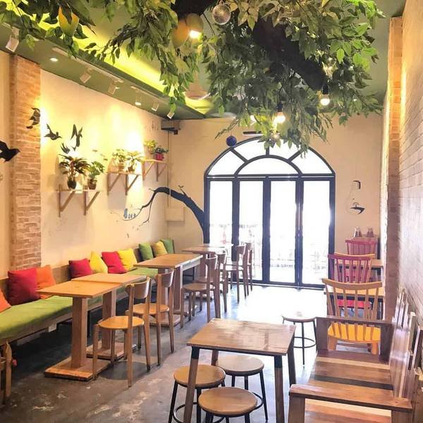 Quán cà phê trang trí với cây xanh trên trần, bàn ghế gỗ và gối nhiều màu sắc, ánh sáng tự nhiên.