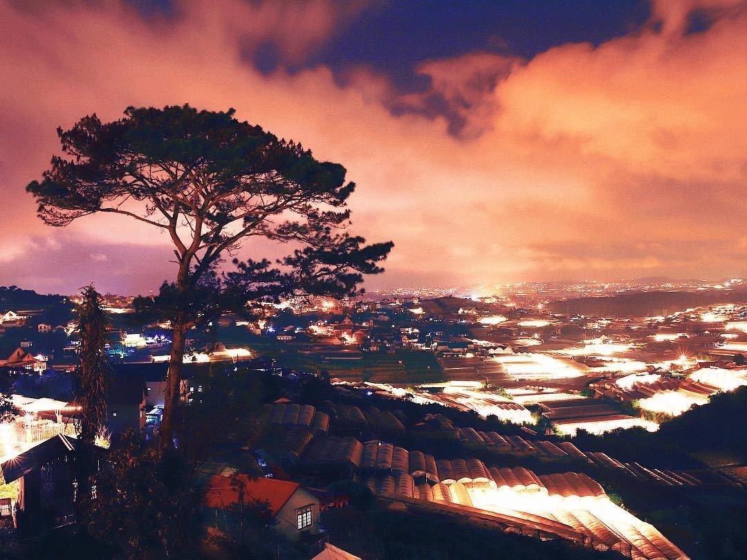 Khung cảnh đ&ecirc;m với &aacute;nh s&aacute;ng từ c&aacute;c nh&agrave; k&iacute;nh v&agrave; bầu trời m&acirc;y m&agrave;u cam, c&acirc;y lớn đứng ph&iacute;a trước.