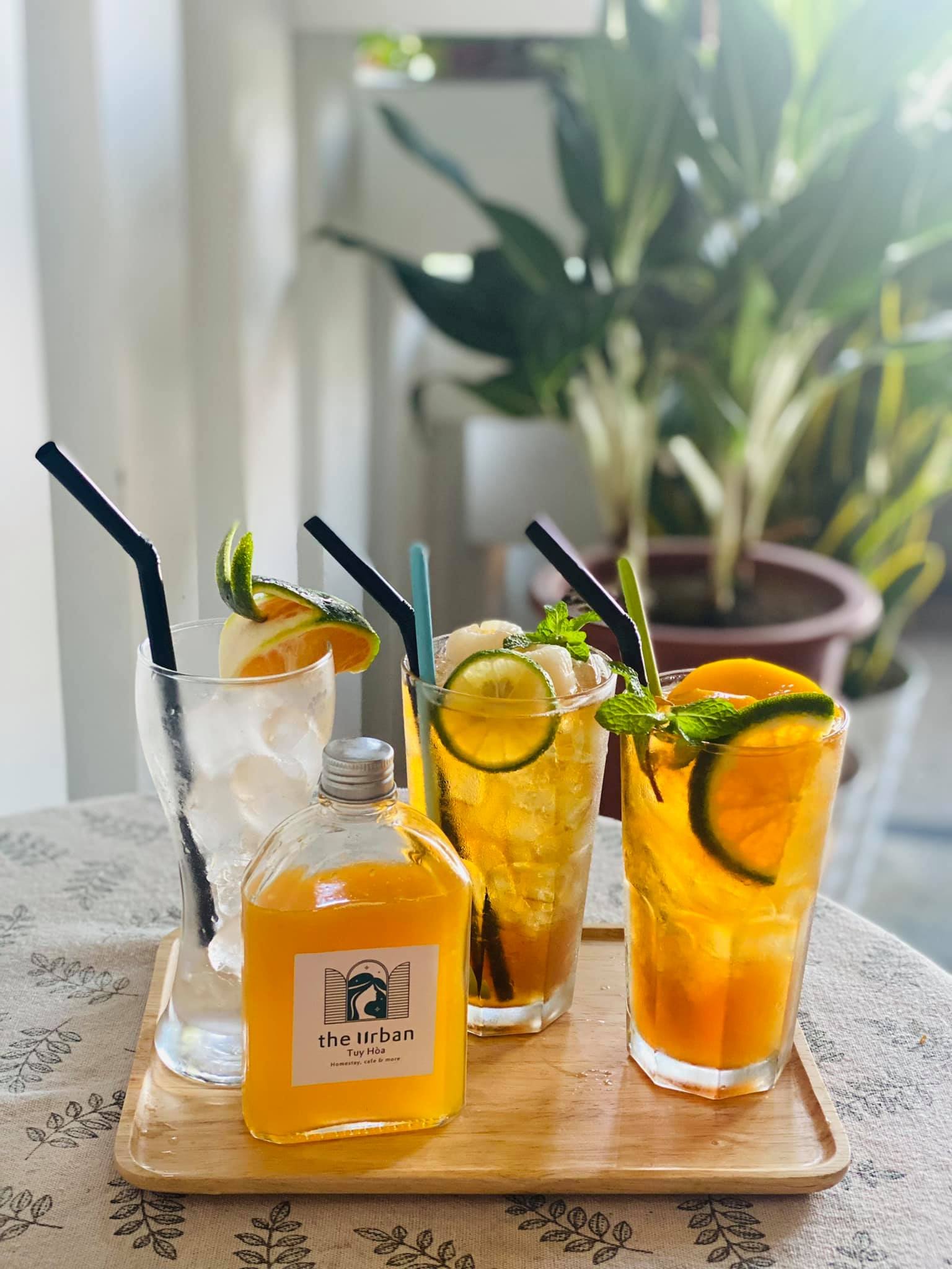 Bốn ly nước giải kh&aacute;t với đ&aacute;, l&aacute;t cam chanh v&agrave; một chai nước tr&ecirc;n khay gỗ, nền l&agrave; c&acirc;y xanh.