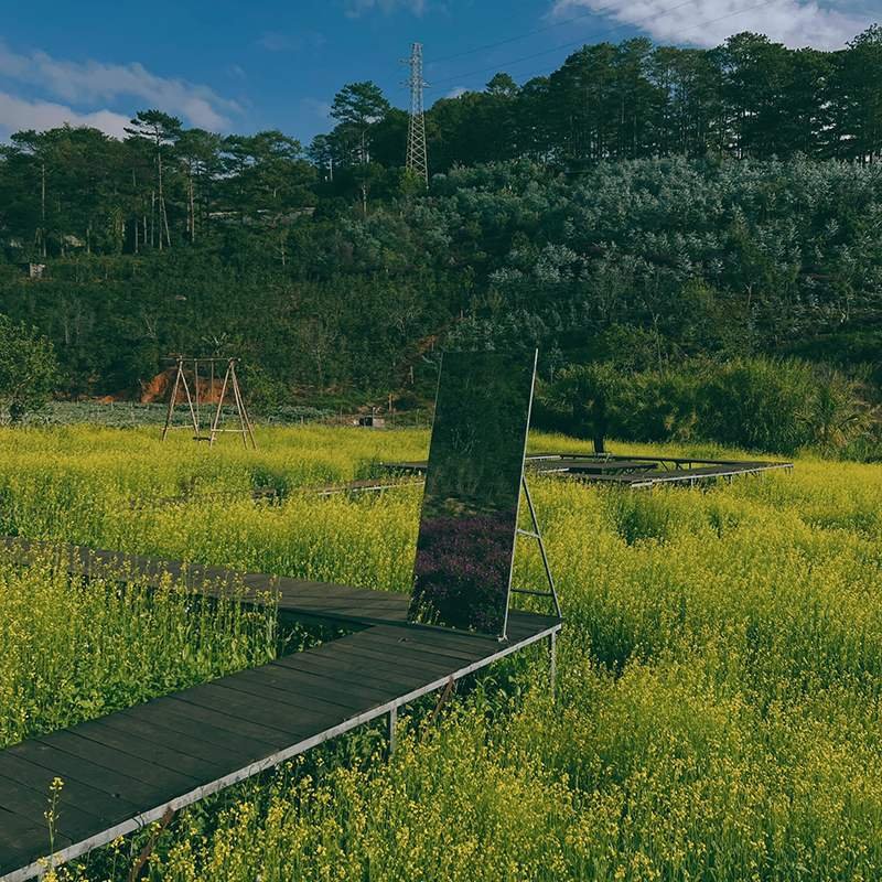 Con đường gỗ dẫn qua c&aacute;nh đồng hoa v&agrave;ng, c&oacute; một tấm gương đứng giữa cảnh thi&ecirc;n nhi&ecirc;n xanh tươi.