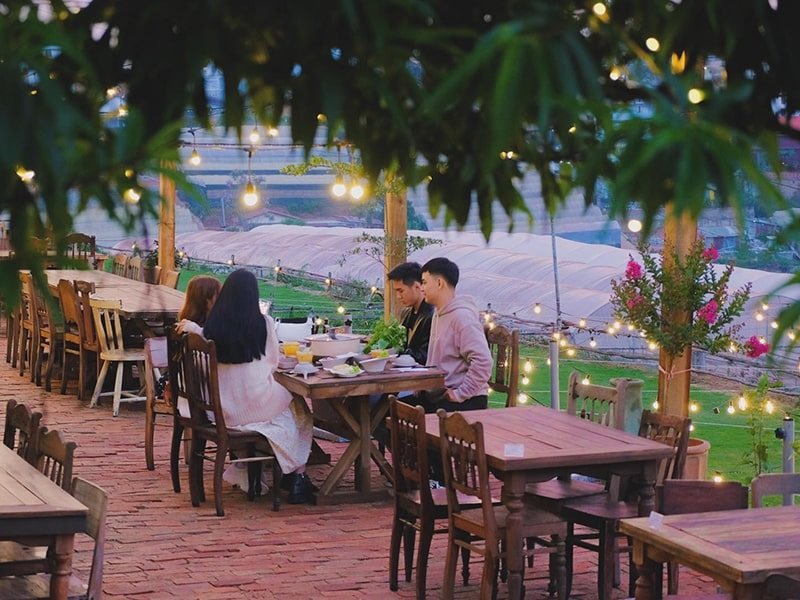 Nh&oacute;m người ngồi ăn tối ngo&agrave;i trời dưới &aacute;nh đ&egrave;n lấp l&aacute;nh, xung quanh l&agrave; c&acirc;y cối v&agrave; khung cảnh thi&ecirc;n nhi&ecirc;n.