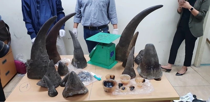 C&aacute;c vật phẩm gồm sừng động vật v&agrave; c&aacute;c dụng cụ đo lường được b&agrave;y tr&ecirc;n b&agrave;n, c&oacute; ba người đứng cạnh.
