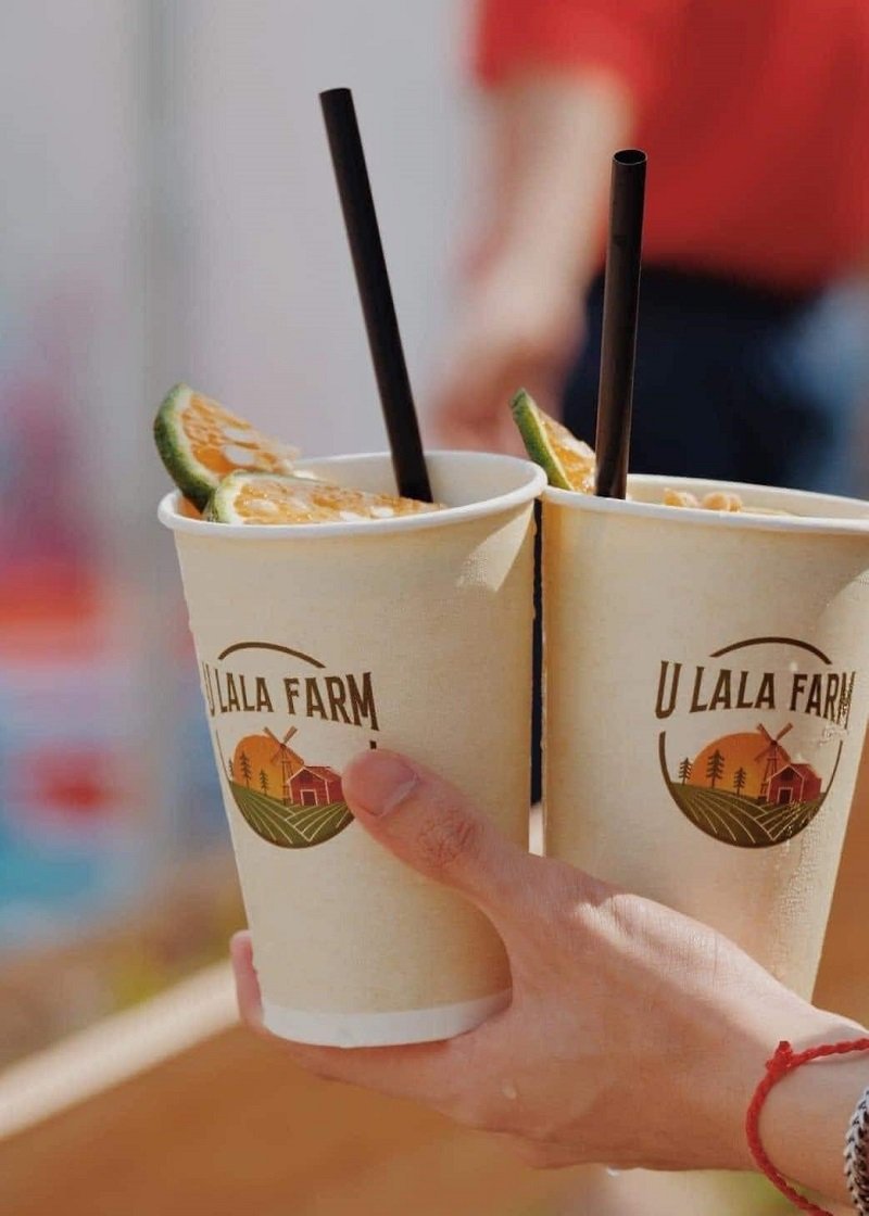 Hai ly giấy đựng nước giải khát trang trí lát cam, được cầm trên tay, ống hút đen.